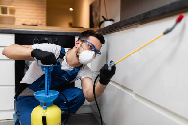 Best Pest Control Near Me in Nyack, NY