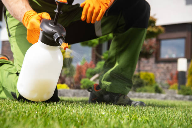 Pest Control for Restaurants in Nyack, NY