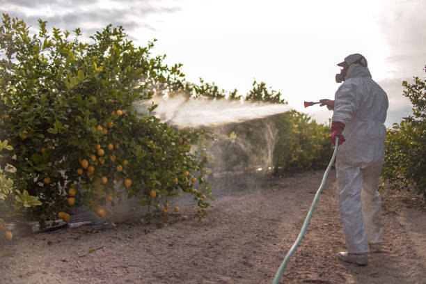 Best Pest Prevention Services  in Ack, NY