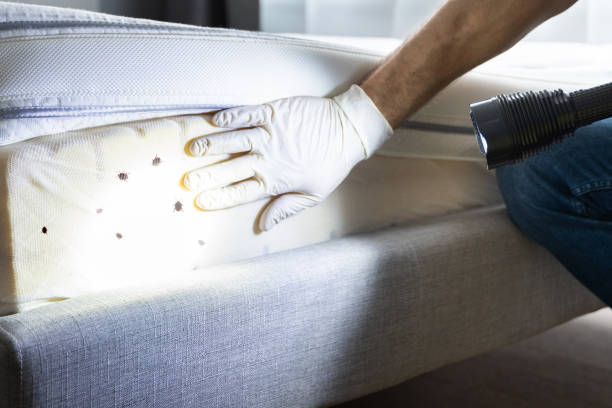 Best Exterminator Services  in Ack, NY