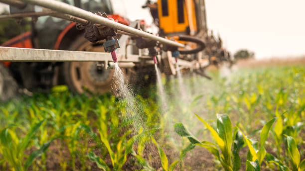 Best Commercial Pest Control Services  in Ack, NY